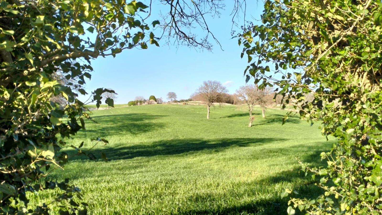 Trullo Dimora Podere Papilio Noci Exterior foto