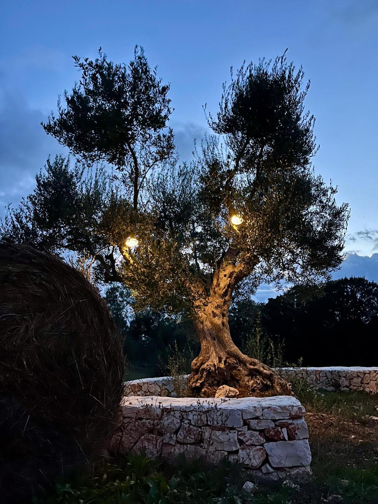 Trullo Dimora Podere Papilio Noci Exterior foto